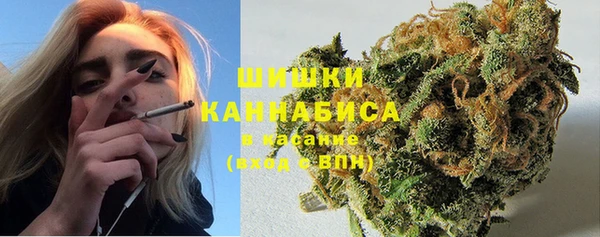 прущий лед Богородск