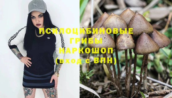 прущий лед Богородск