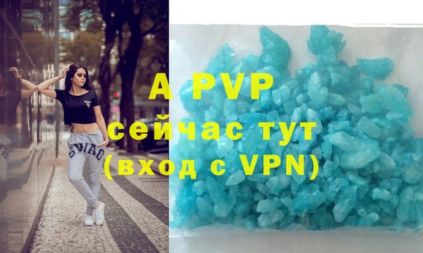 бошки Бородино