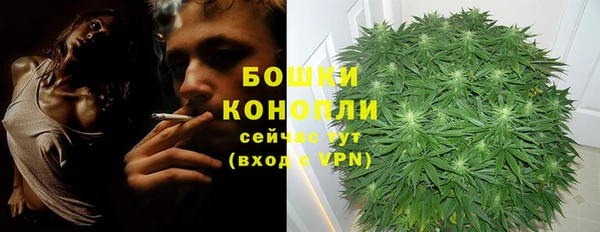 не бодяженный Богданович